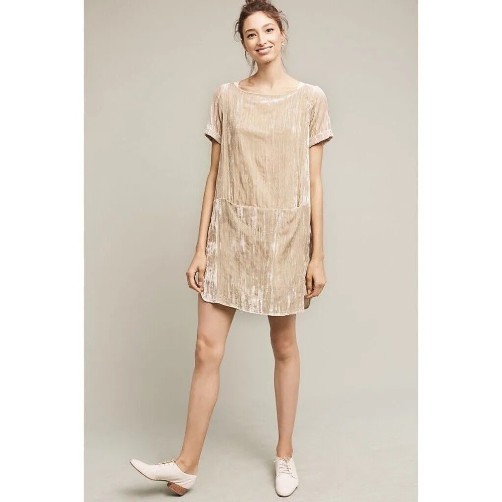 Anthropologie Floreat Champagne Crushed
Velvet Shift Dress, Small